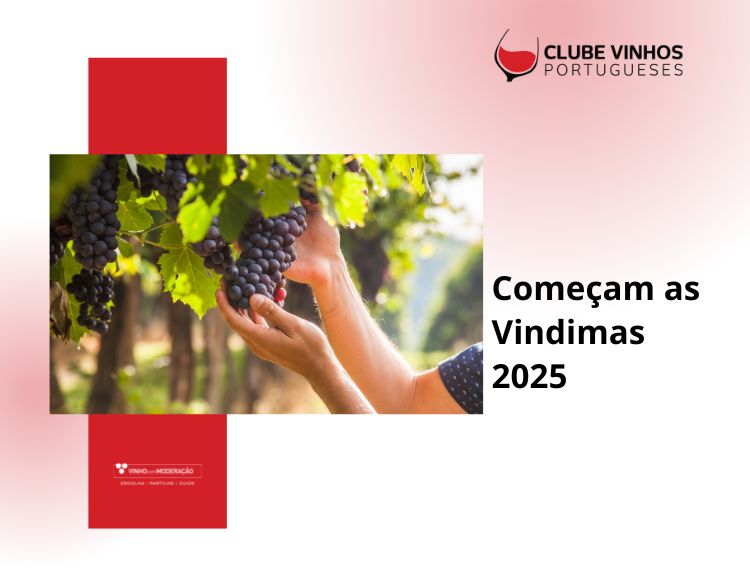 Começam as Vindimas 2025
