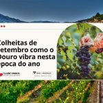 Colheitas de setembro como o Douro vibra nesta época do ano 3