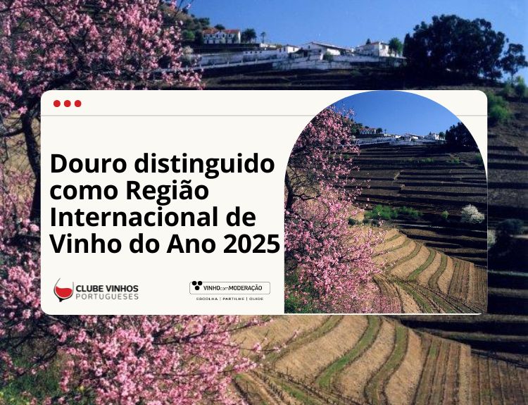 Douro distinguido como Região Internacional de Vinho