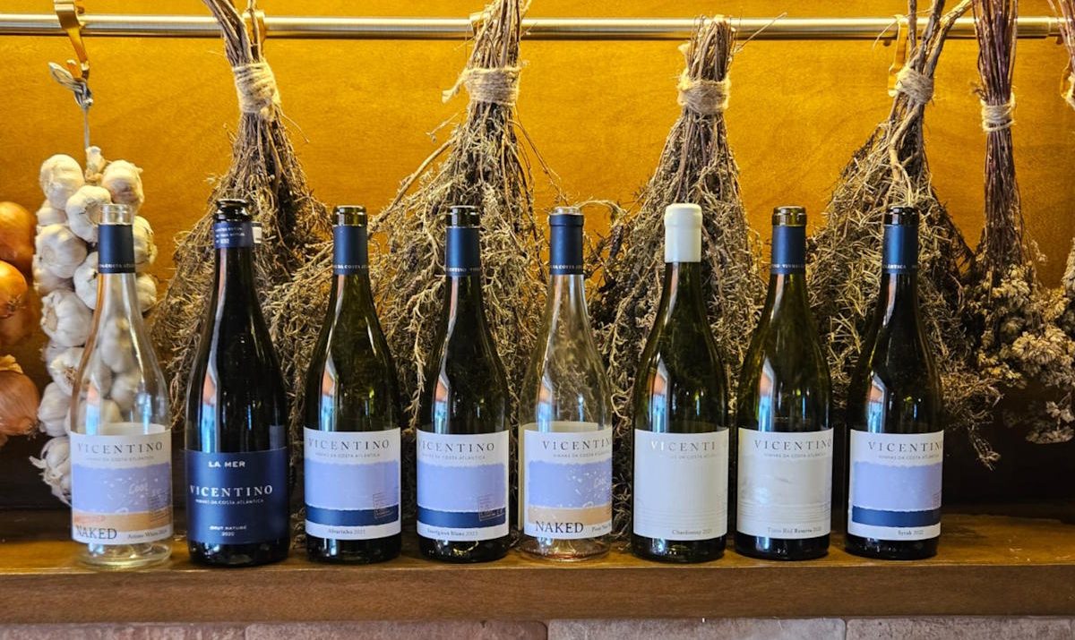 foto dos Vinhos Vicentino