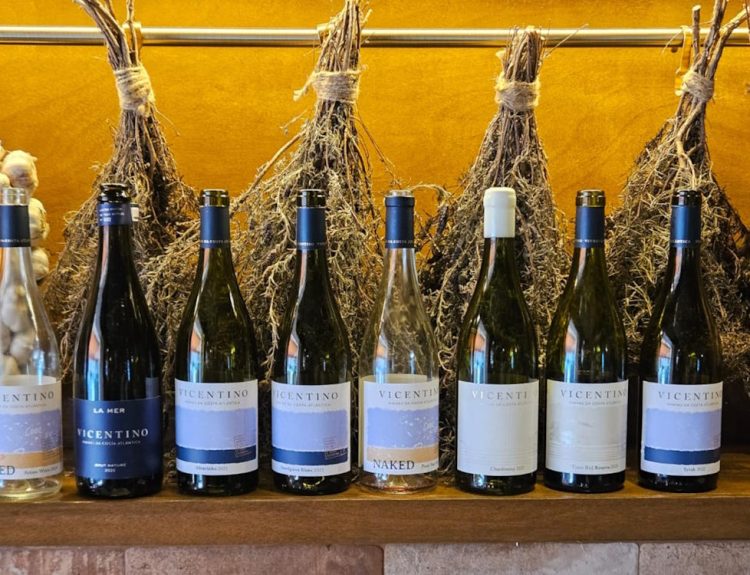 foto dos Vinhos Vicentino