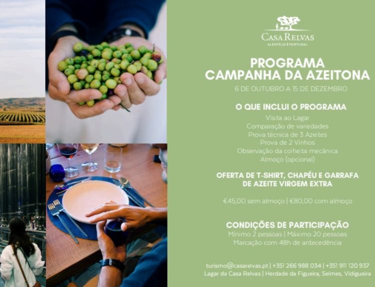 Programa Campanha da Azeitona