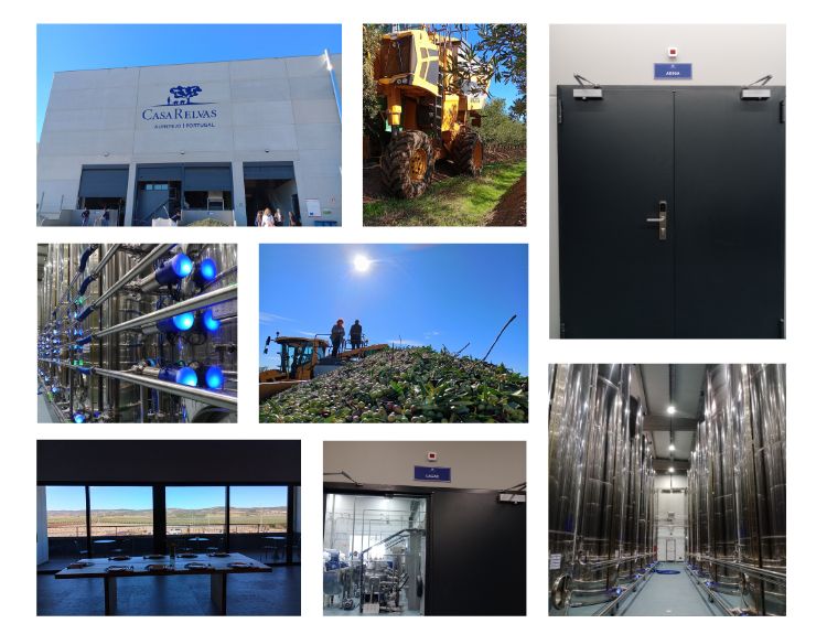 Programa Campanha da Azeitona - Casa Relvas