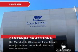Dia Mundial da Oliveira na Casa Relvas: uma jornada ao coração do Alentejo