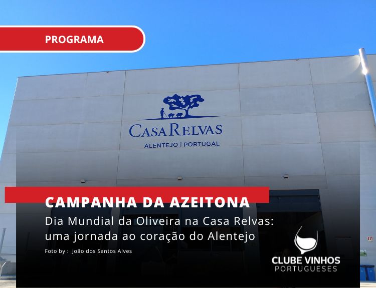 Dia Mundial da Oliveira na Casa Relvas: uma jornada ao coração do Alentejo