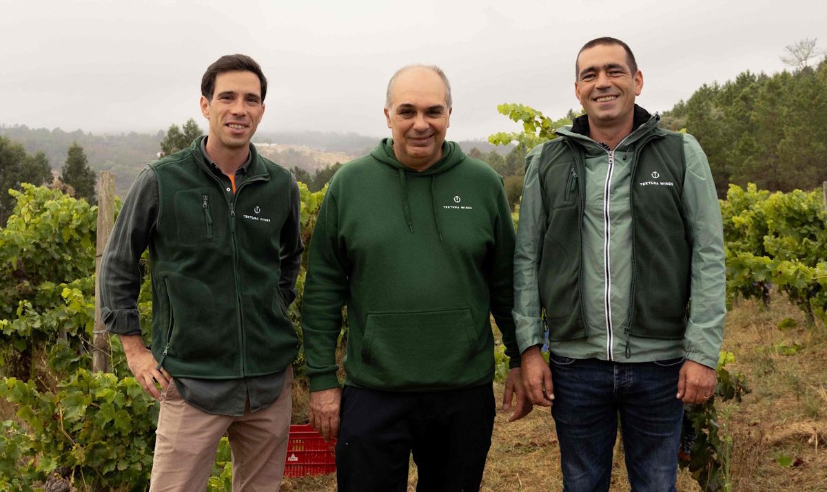 Foto de textura wines