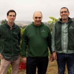 Foto de textura wines