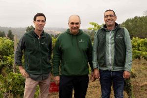 Foto de textura wines