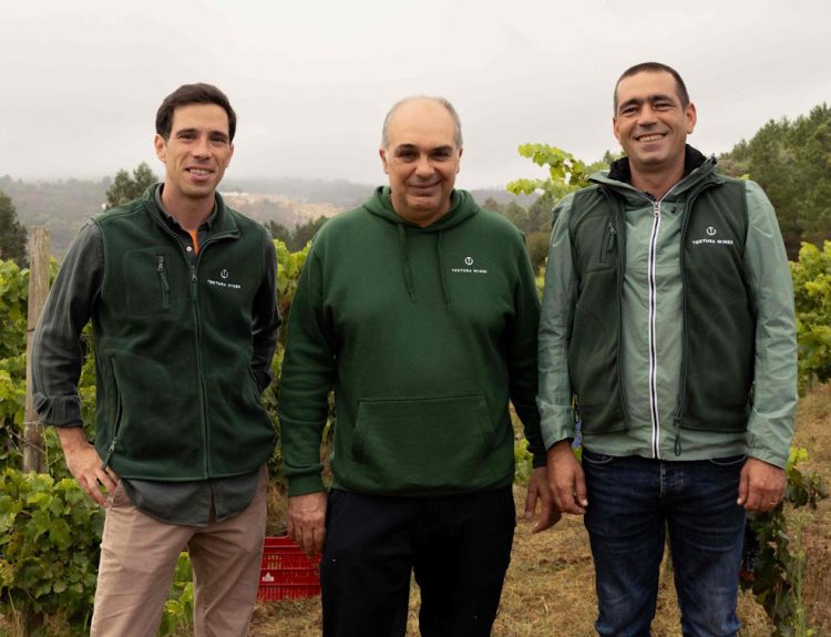 Foto de textura wines