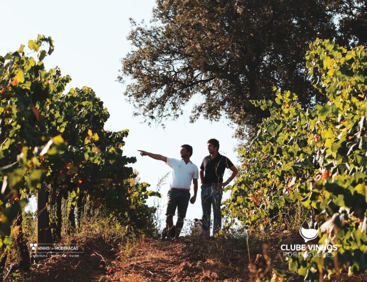 Herdade de São Miguel Resumo 20 Vindimas a novidade neste Natal