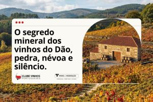 O segredo mineral dos vinhos do Dão, pedra, névoa e silêncio