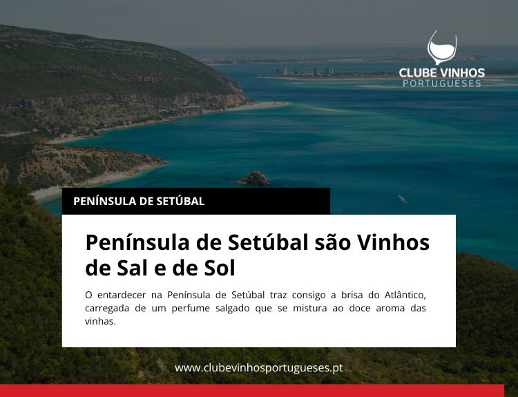 Península de Setúbal são Vinhos de Sal e de Sol