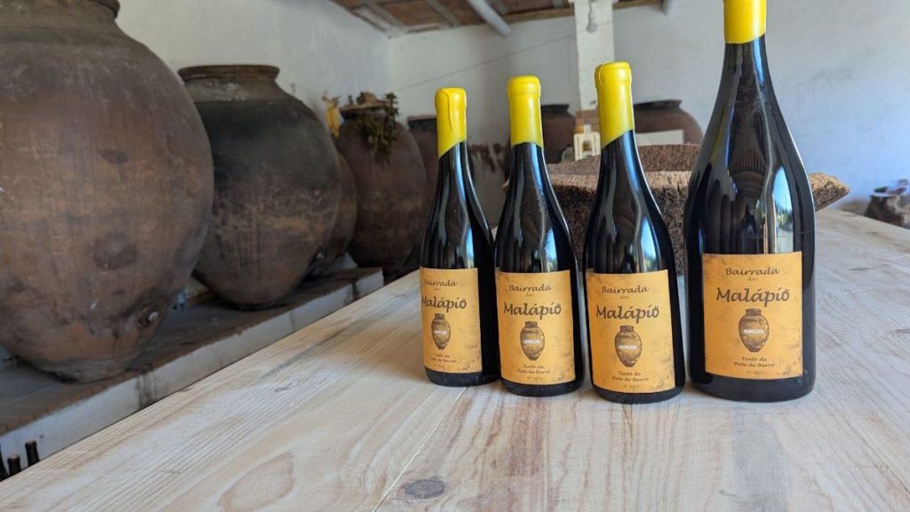 Foto do Vinho Malapio