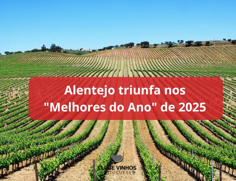 O Triunfo do Terroir: Quando o Alentejo Reclama o Trono nos "Óscares" do Vinho