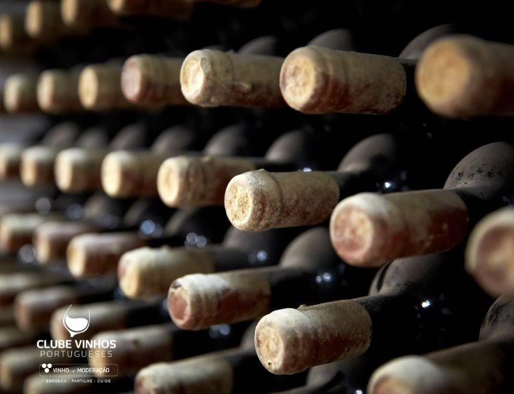 Vinhos que contam o tempo