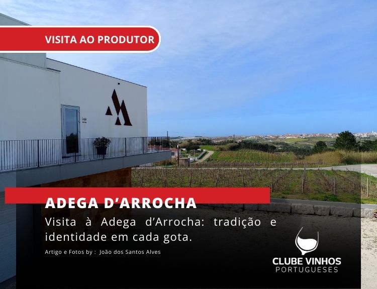 Visita à Adega d’Arrocha: tradição e identidade em cada gota