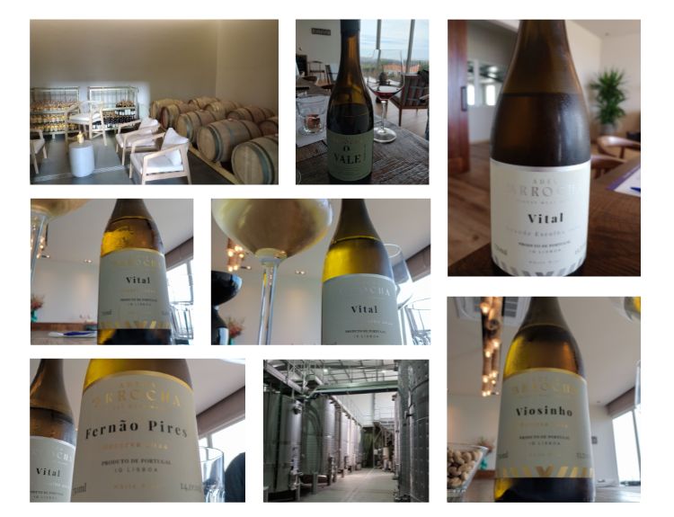 Visita à Adega d’Arrocha