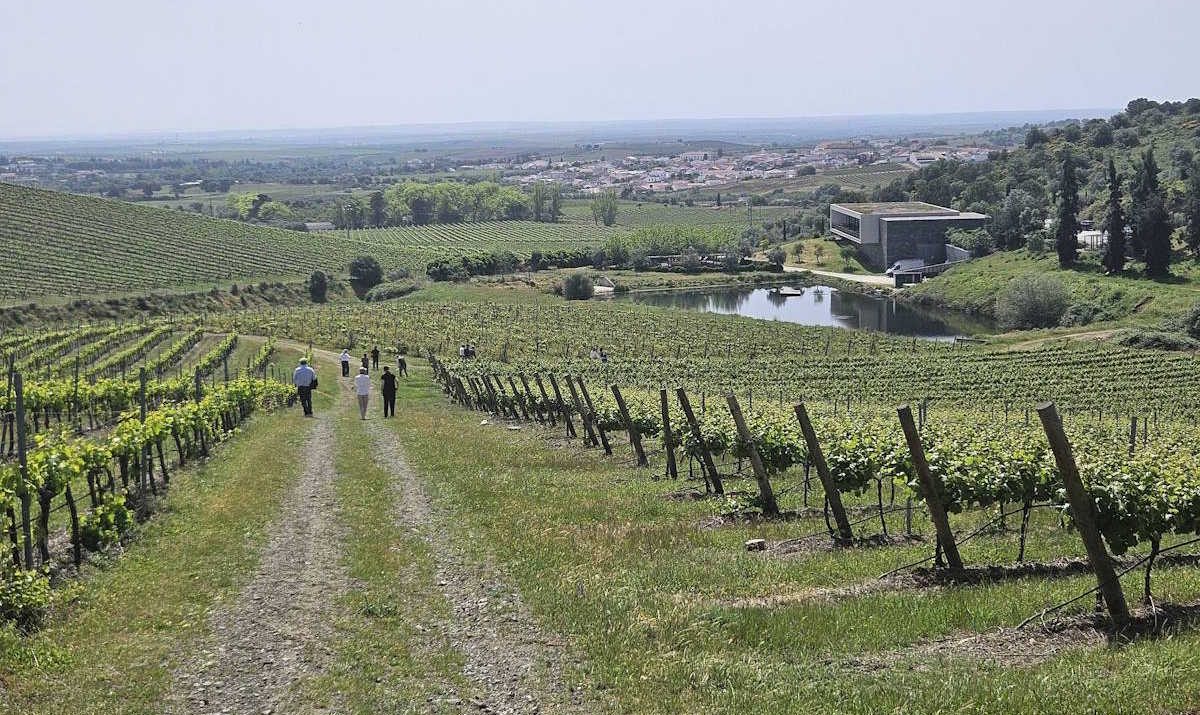 Foto da Quinta do Quetzal - Alentejo