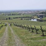 Foto da Quinta do Quetzal - Alentejo