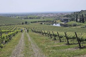 Foto da Quinta do Quetzal - Alentejo