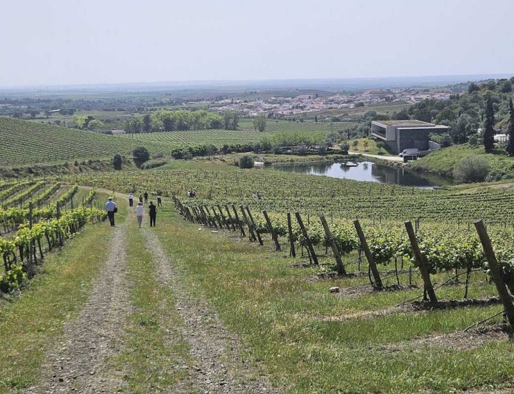 Foto da Quinta do Quetzal - Alentejo