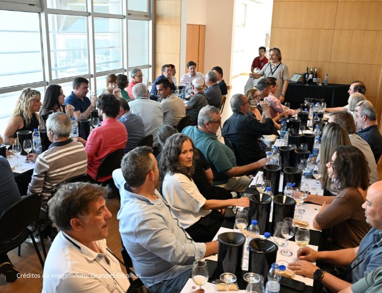 Provas, masterclass, Concurso de Vinhos do Douro Superior