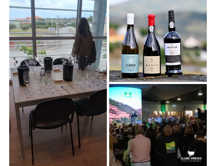 13.º Concurso de Vinhos do Douro Superior