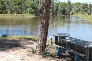 Barragem De Gagos04