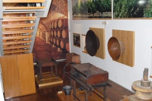 Museu-Regional-do-Vinho-7