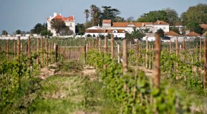 Palácio da Quinta da Alorna6