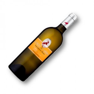 Quinta dos Abibes Sauvignon Blanc 2015