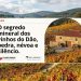 O segredo mineral dos vinhos do Dão, pedra, névoa e silêncio